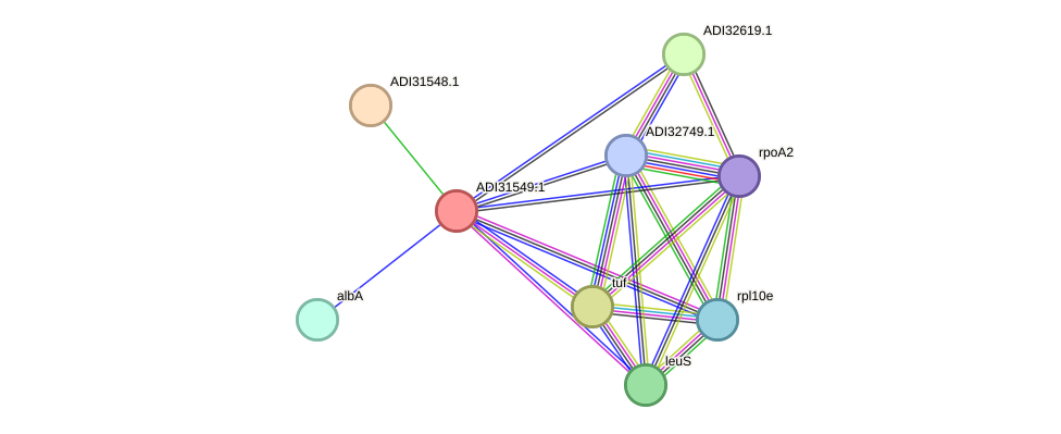 STRING protein interaction network