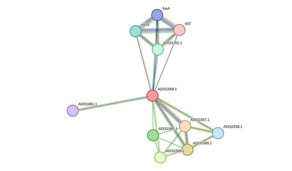 STRING protein interaction network