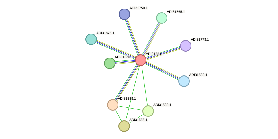 STRING protein interaction network