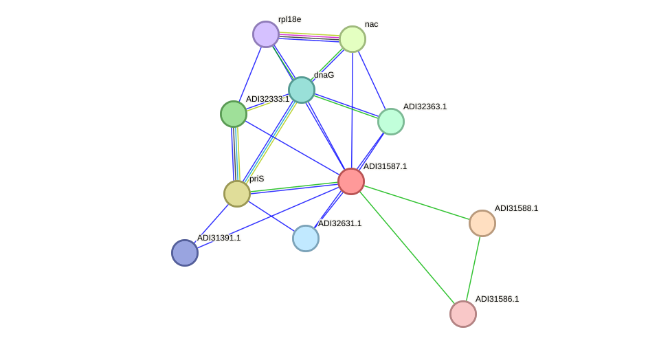 STRING protein interaction network