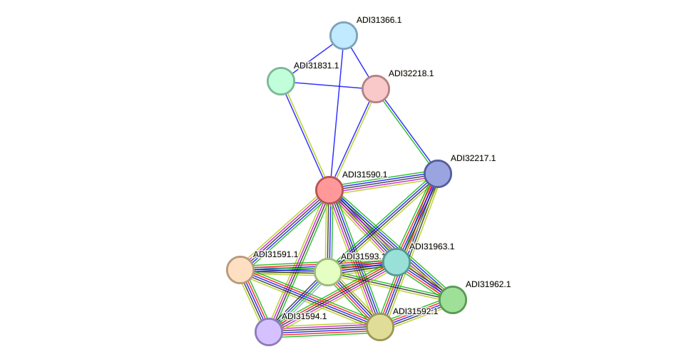 STRING protein interaction network