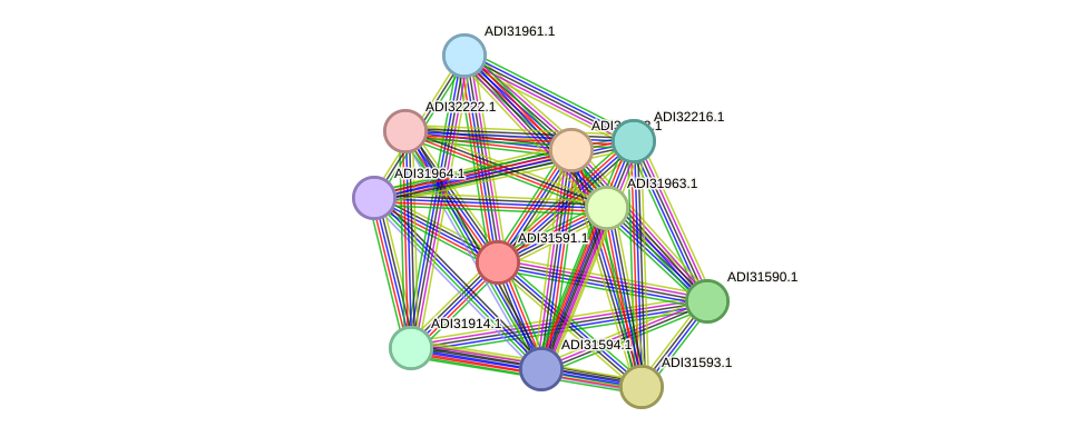 STRING protein interaction network