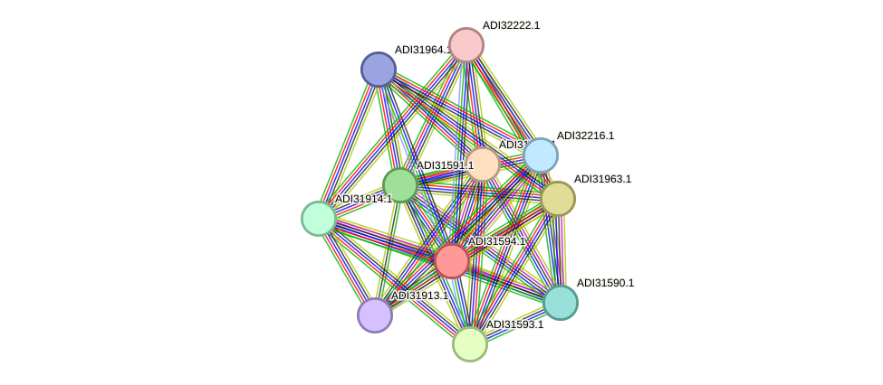 STRING protein interaction network