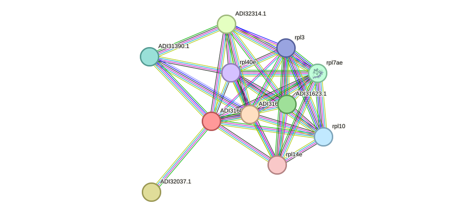 STRING protein interaction network