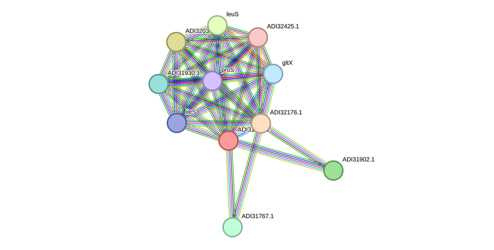 STRING protein interaction network