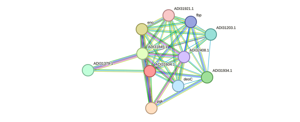 STRING protein interaction network