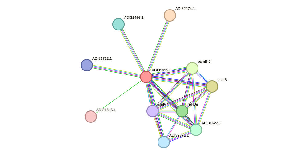 STRING protein interaction network