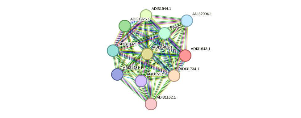STRING protein interaction network