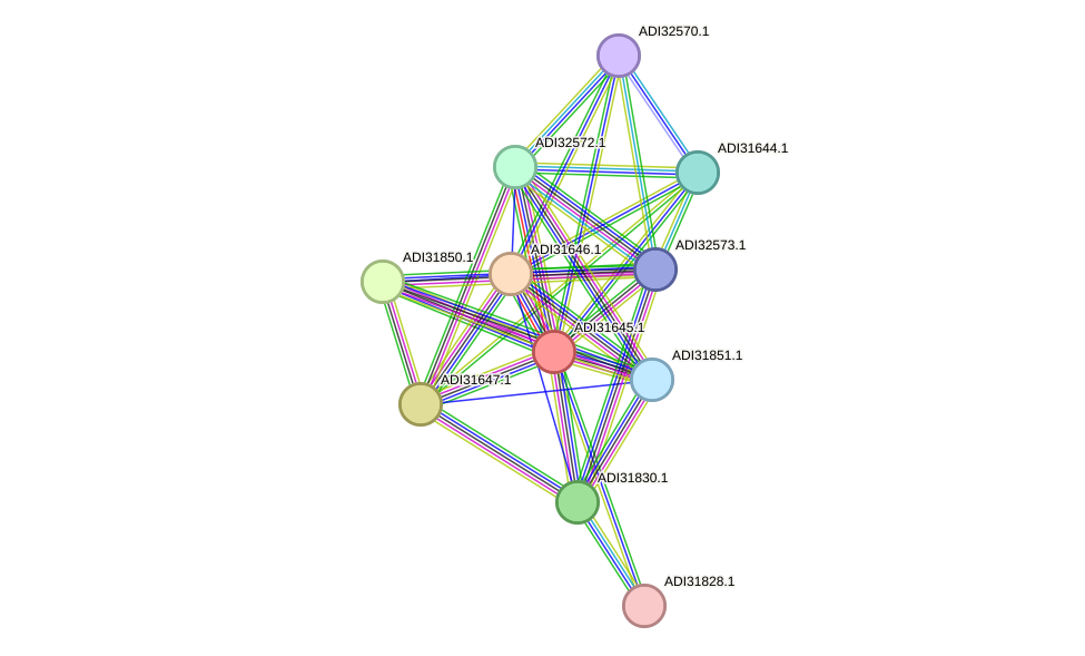 STRING protein interaction network