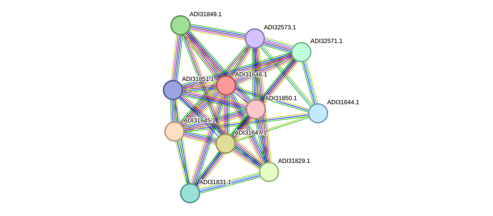 STRING protein interaction network