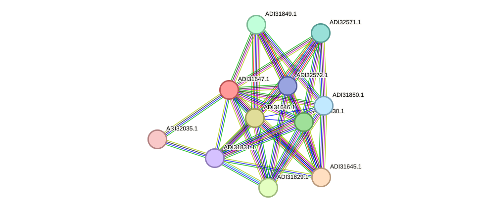 STRING protein interaction network