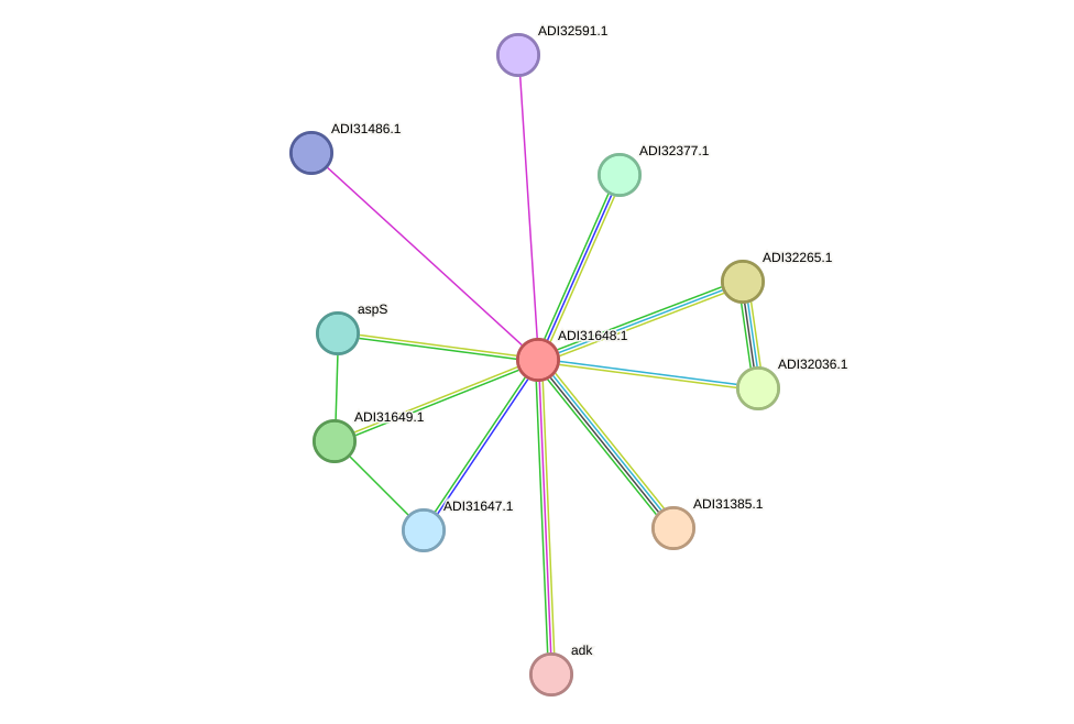 STRING protein interaction network