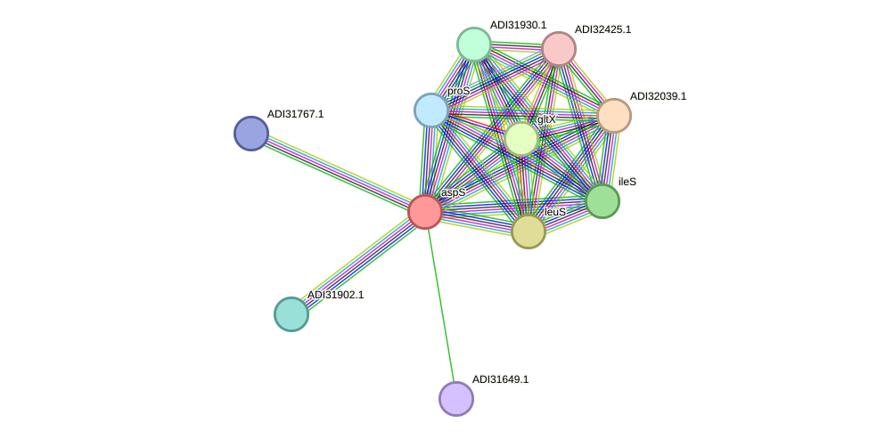 STRING protein interaction network