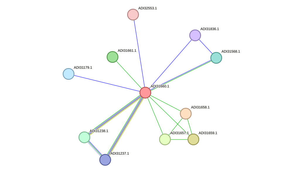 STRING protein interaction network