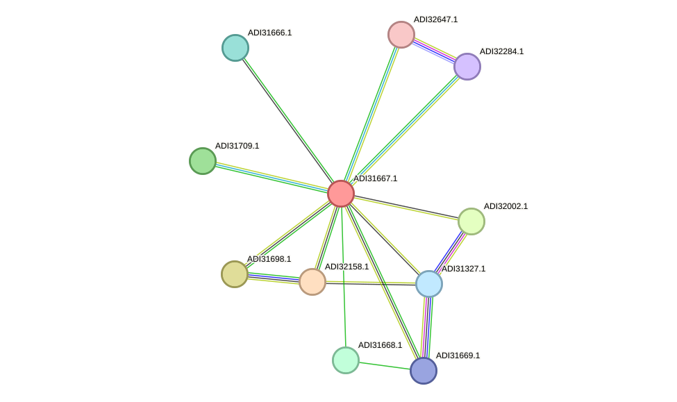 STRING protein interaction network