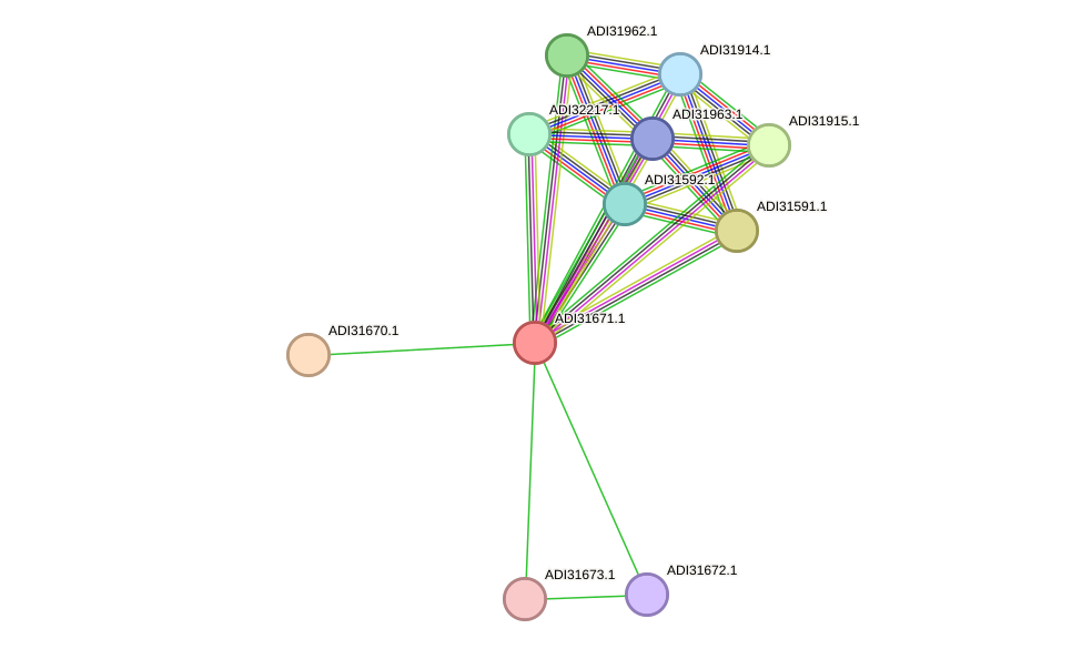 STRING protein interaction network