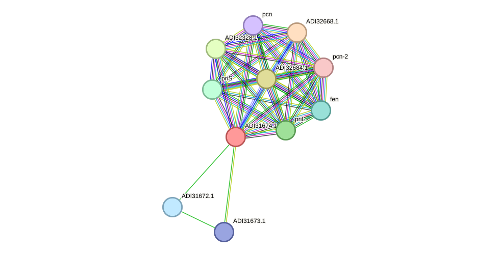 STRING protein interaction network