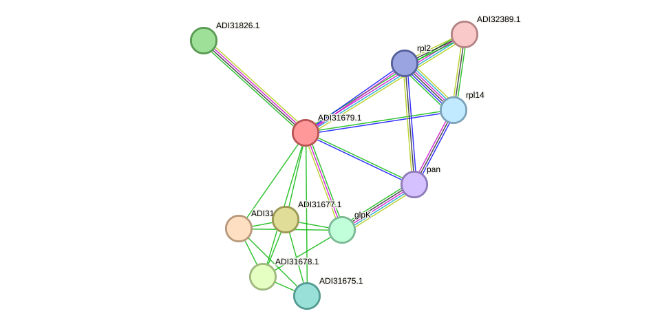 STRING protein interaction network