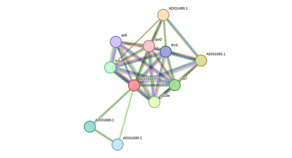 STRING protein interaction network