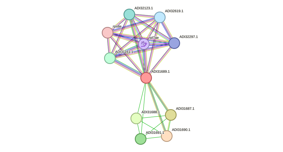 STRING protein interaction network
