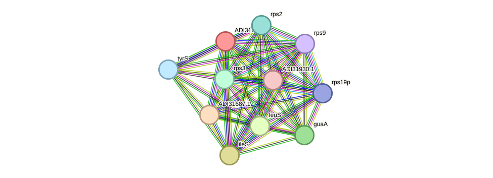STRING protein interaction network