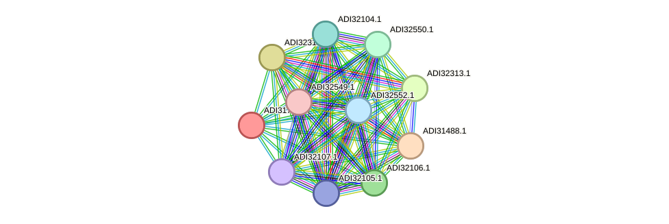 STRING protein interaction network