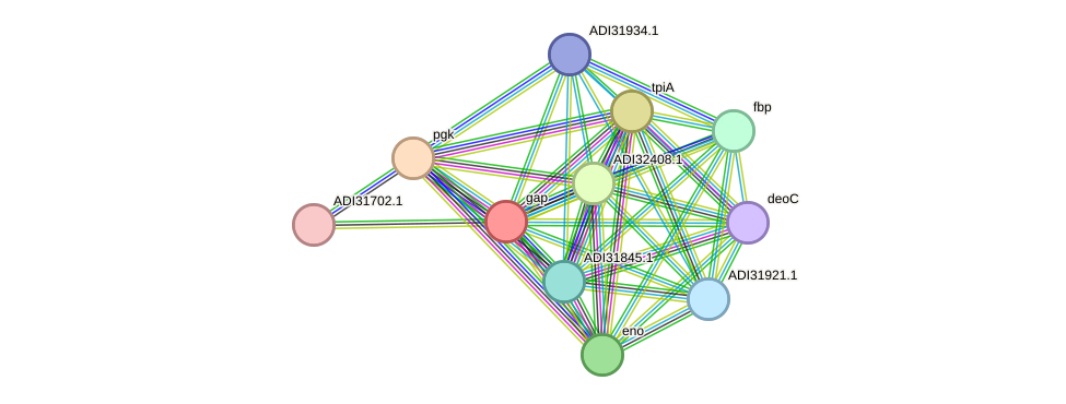 STRING protein interaction network