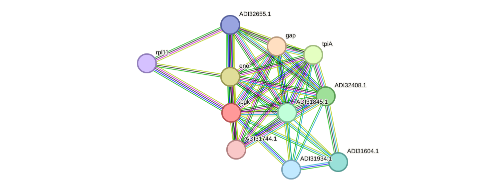 STRING protein interaction network