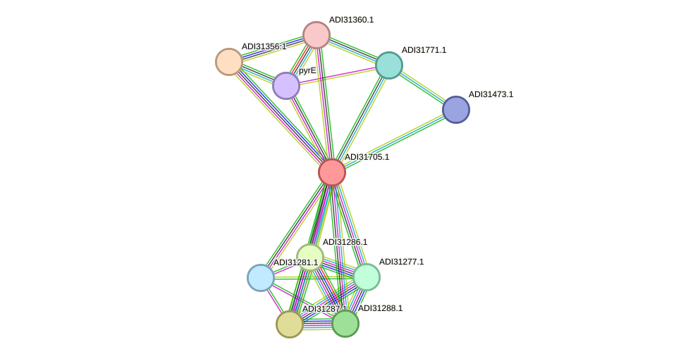 STRING protein interaction network