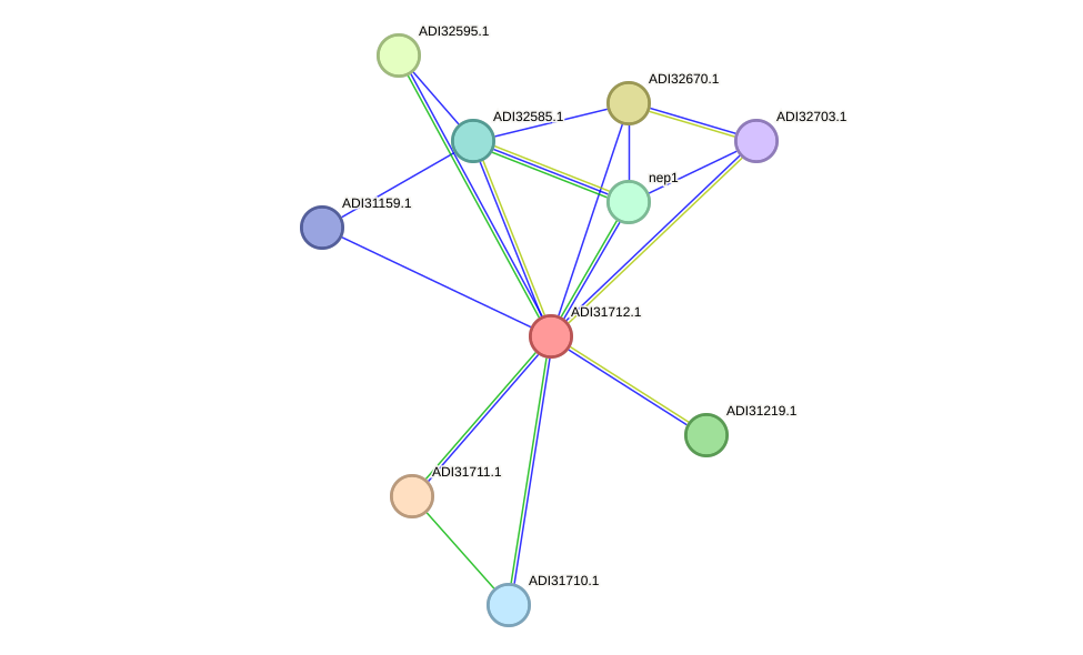 STRING protein interaction network