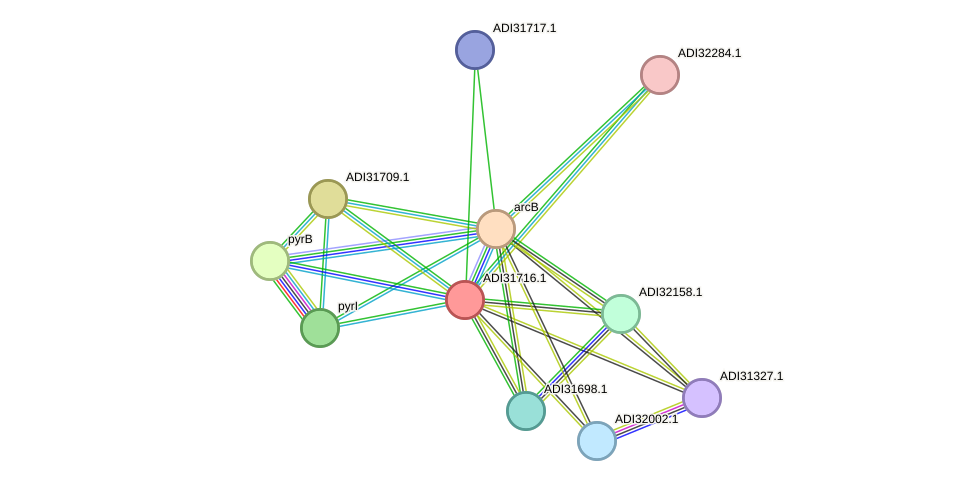 STRING protein interaction network