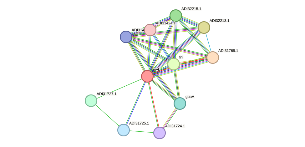 STRING protein interaction network