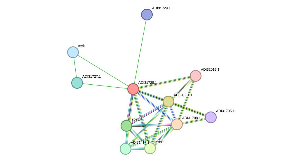 STRING protein interaction network