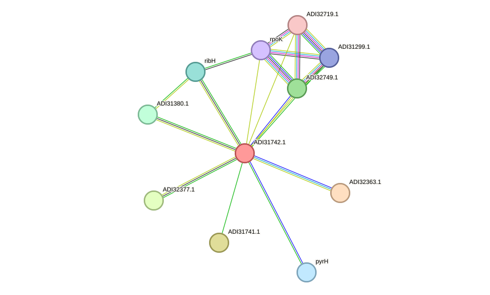 STRING protein interaction network