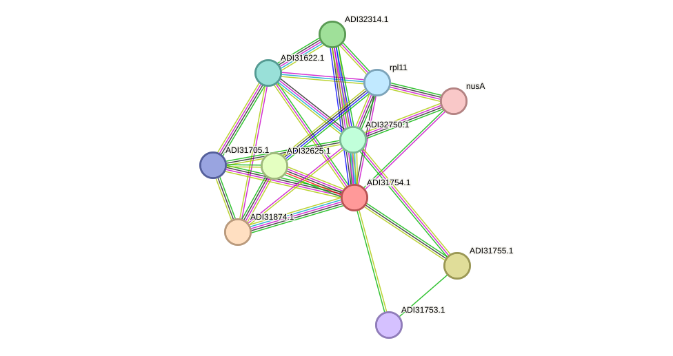 STRING protein interaction network