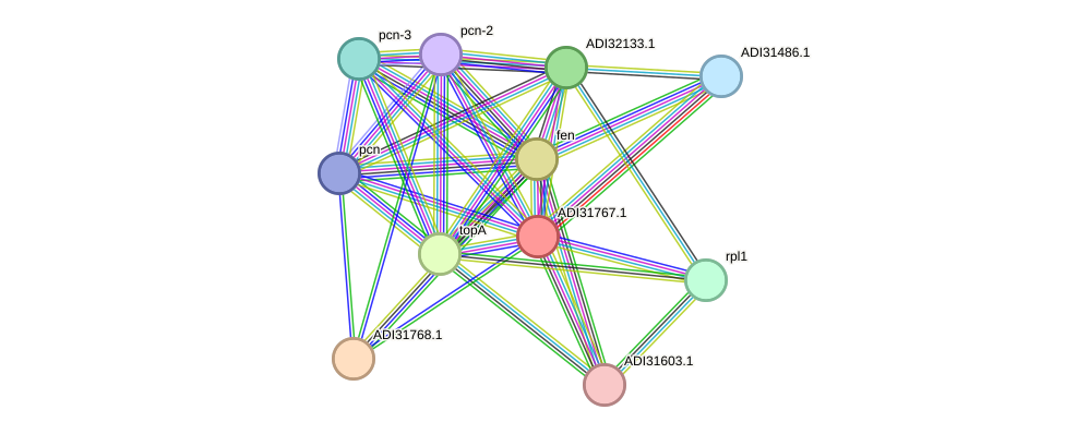 STRING protein interaction network