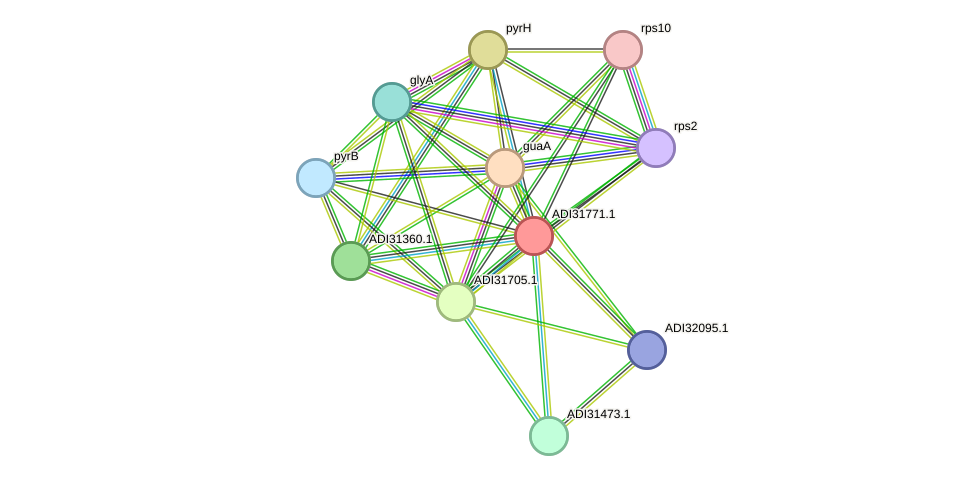 STRING protein interaction network
