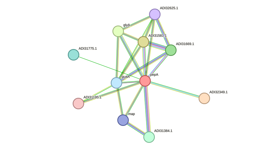 STRING protein interaction network