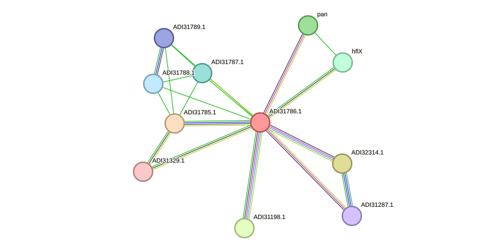 STRING protein interaction network