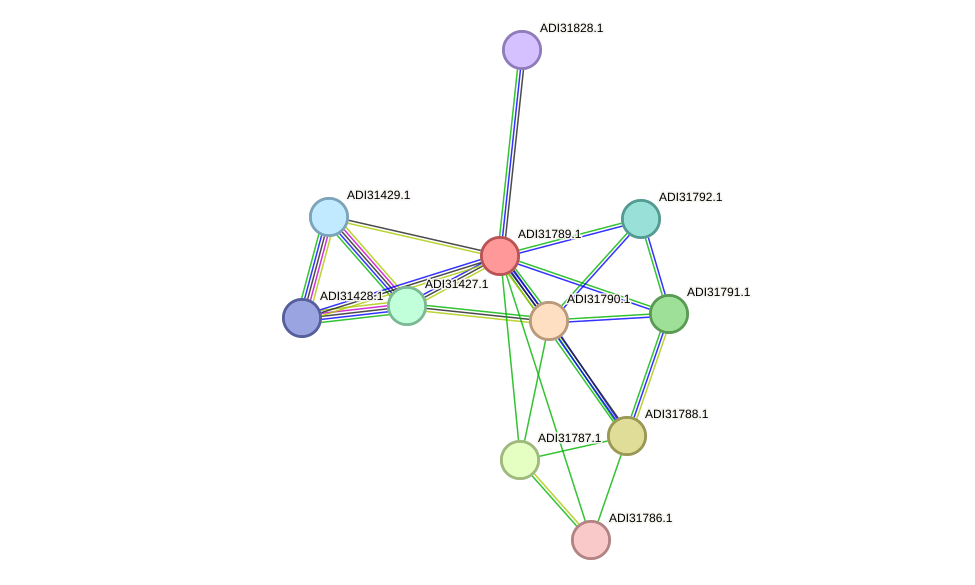 STRING protein interaction network