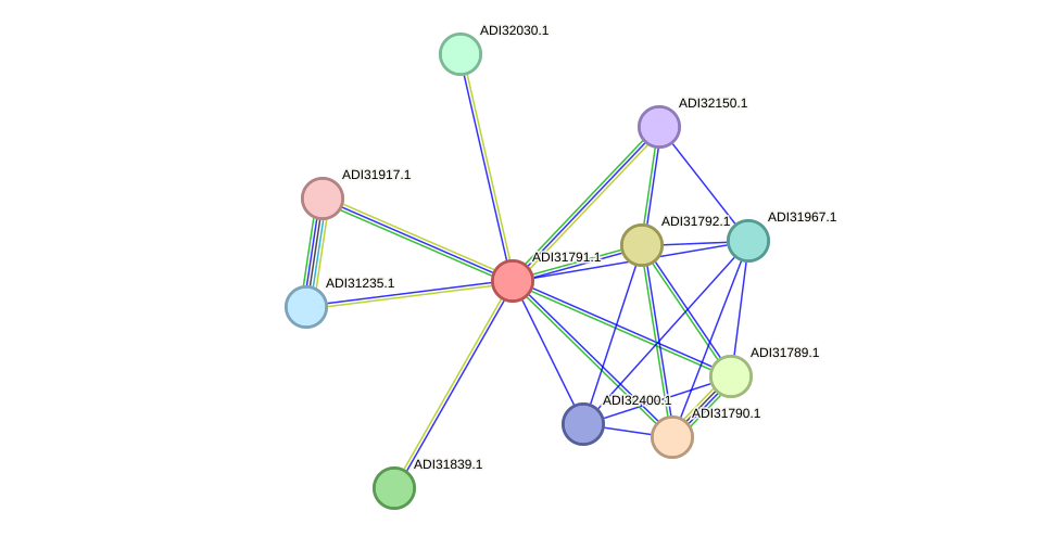 STRING protein interaction network
