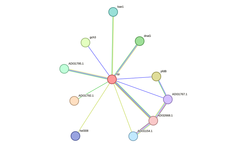 STRING protein interaction network