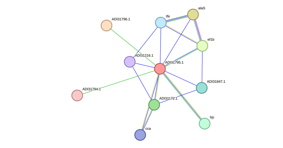 STRING protein interaction network