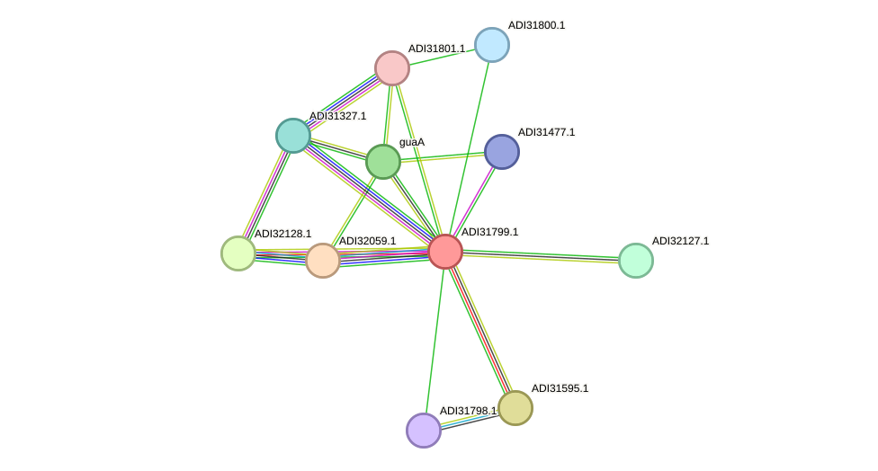 STRING protein interaction network