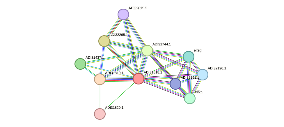 STRING protein interaction network