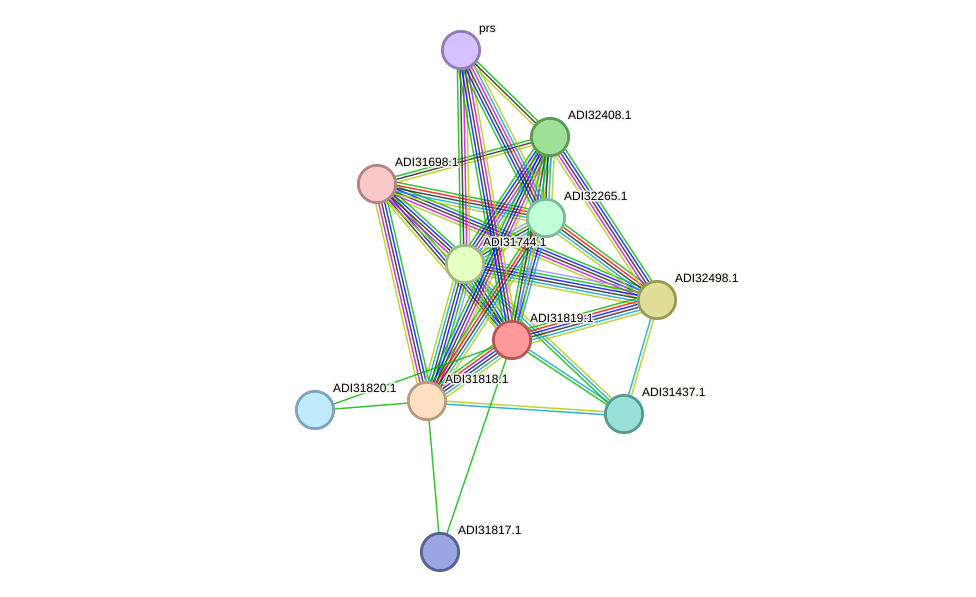 STRING protein interaction network