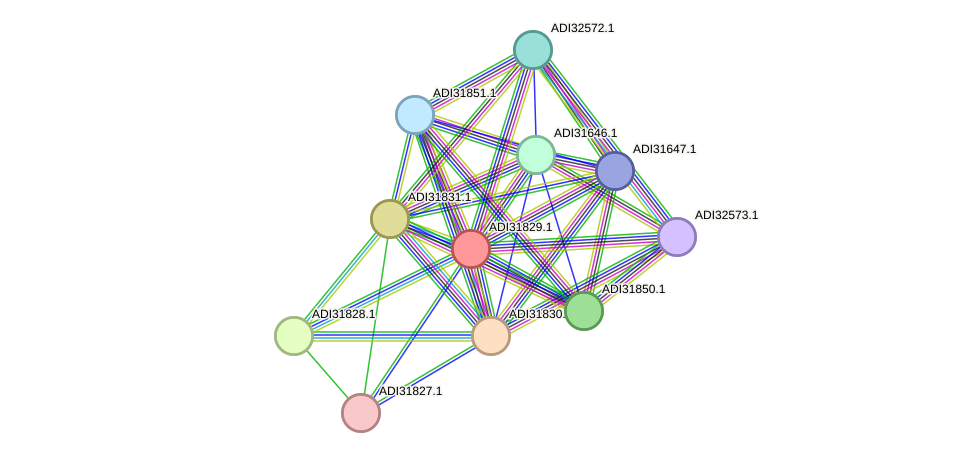STRING protein interaction network