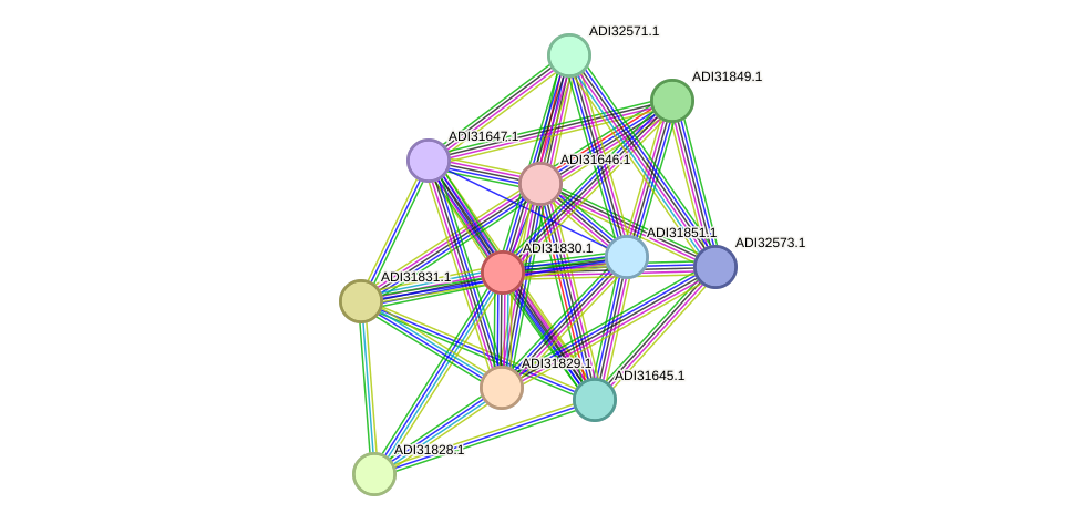 STRING protein interaction network