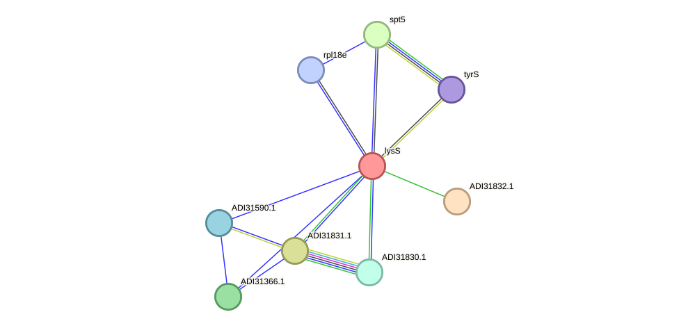 STRING protein interaction network