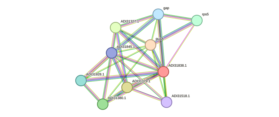 STRING protein interaction network